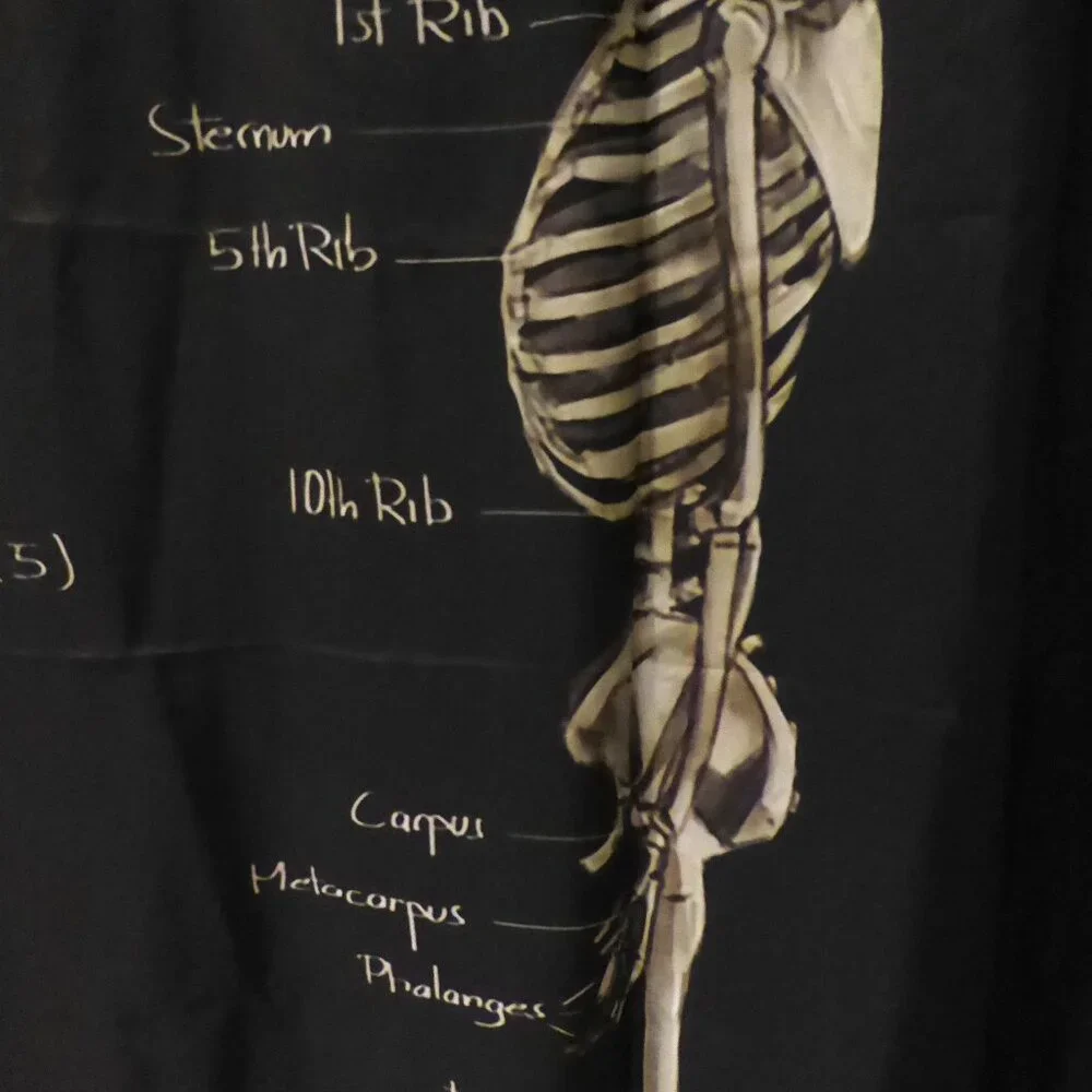 NEW GOTHIC HALLOWEEN SKELETON MEDICAL ANATOMY ILLUSTRATION SHOWER CURTAIN ODDITY